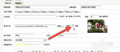 織夢dedecms系統主頁篇之幻燈flash圖片顯示